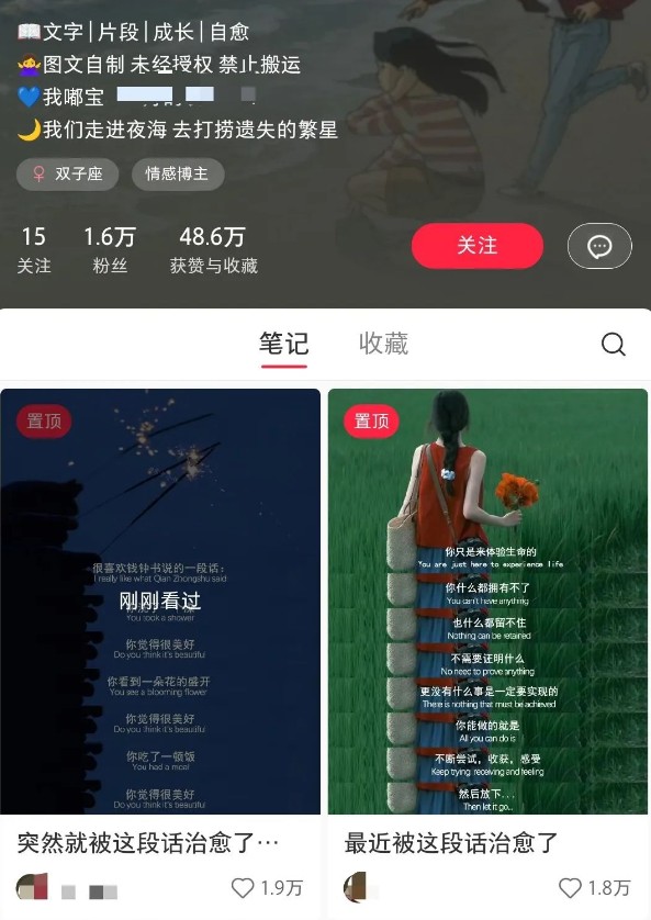 小红书治愈文案图文笔记,零门槛,一分钟制作轻松制作爆款作品月入万元_豪客资源创业网-豪客资源_豪客资源库