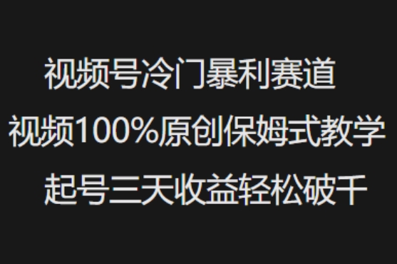 视频号冷门暴利赛道视频100%原创保姆式教学起号三天收益轻松破千——豪客资源创业项目网-豪客资源_豪客资源库