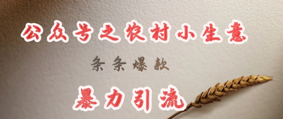 deepseek写农村小项目,条条爆款,暴力引流——豪客资源创业项目网-豪客资源_豪客资源库