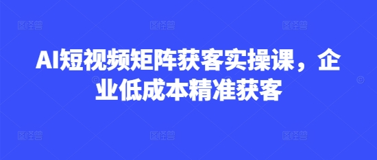 AI短视频矩阵获客实操课，企业低成本精准获客——豪客资源创业项目网-豪客资源_豪客资源库
