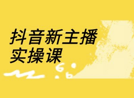 抖音新主播实操课，直播间流量运营线上实操课(18节)_豪客资源库