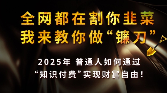 全网都在割你韭菜,我来教你做镰刀,2025普通人如何通过知识付费,实现财F自由【揭秘】_豪客资源库