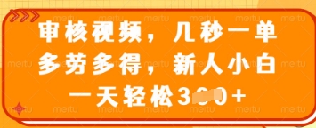 审核视频，几秒一单，多劳多得，新人小白一天轻松3张【揭秘】——豪客资源创业项目网-豪客资源_豪客资源库