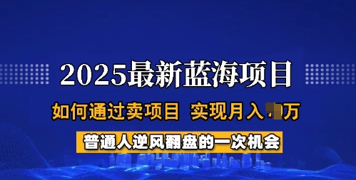 2025蓝海项目，普通人如何通过卖项目，实现月入过W，全过程【揭秘】——豪客资源创业项目网-豪客资源_豪客资源库
