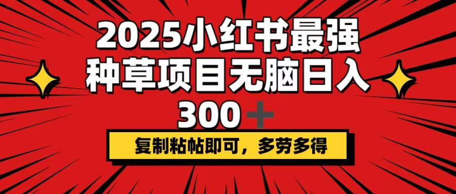 （14375期）2025小红书最强种草项目，无脑日入300+，复制粘帖即可，多劳多得_豪客资源创业项目网-豪客资源_豪客资源库