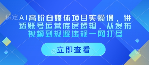 AI高阶自媒体项目实操课，讲透账号运营底层逻辑，从发布视频到规避违规一网打尽——豪客资源创业项目网-豪客资源_豪客资源库
