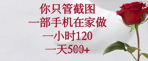 你只管截图，一部手机在家做，苹果安卓都可以，一小时120，一天5张+【揭秘】——豪客资源创业项目网-豪客资源_豪客资源库