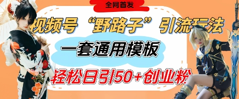 视频号“野路子”玩法，评论区疯狂截流，一套模板单日单号引流50+创业粉——豪客资源创业项目网-豪客资源_豪客资源库
