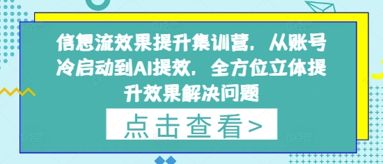 信息流效果提升集训营，从账号冷启动到AI提效，全方位立体提升效果解决问题——豪客资源创业项目网-豪客资源_豪客资源库
