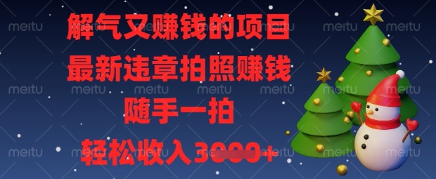解气又挣钱的项目，最新违章拍照挣钱，随手一拍，轻松收入数张【揭秘】——豪客资源创业项目网-豪客资源_豪客资源库