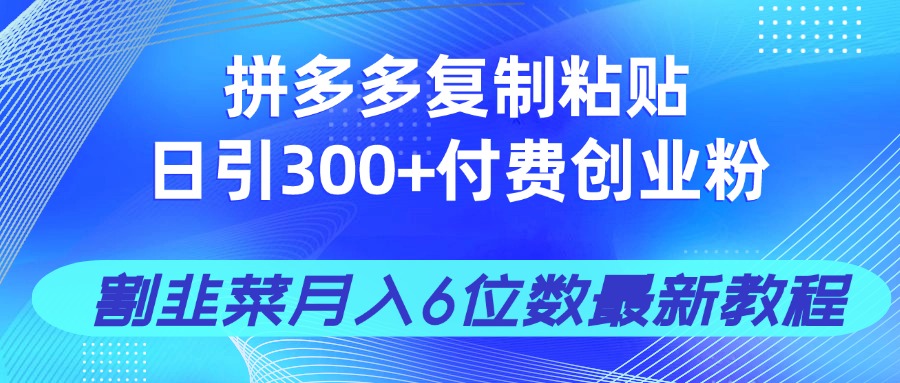 （14232期）拼多多复制粘贴日引300+付费创业粉，割韭菜月入6位数最新教程！_豪客资源创业项目网-豪客资源_豪客资源库
