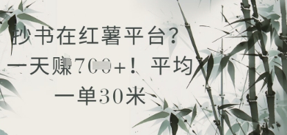 抄书在小红薯平台？平均一单30米，一天收益几张！——豪客资源创业项目网-豪客资源_豪客资源库