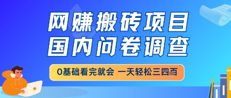 网创搬砖项目，国内问卷调查，小白轻松上手，一天三四张的也不难，干就完了【揭秘】——豪客资源创业项目网-豪客资源_豪客资源库