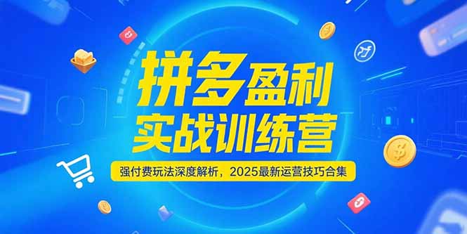 （15183期）拼多多盈利实战训练营，强付费玩法深度解析，2025运营技巧合集-更新6月_豪客资源创业项目网-豪客资源_豪客资源库