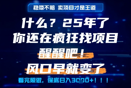 什么？25年你还在疯狂找项目做，醒醒吧，看完这些你全都懂了！【揭秘】——豪客资源创业项目网-豪客资源_豪客资源库
