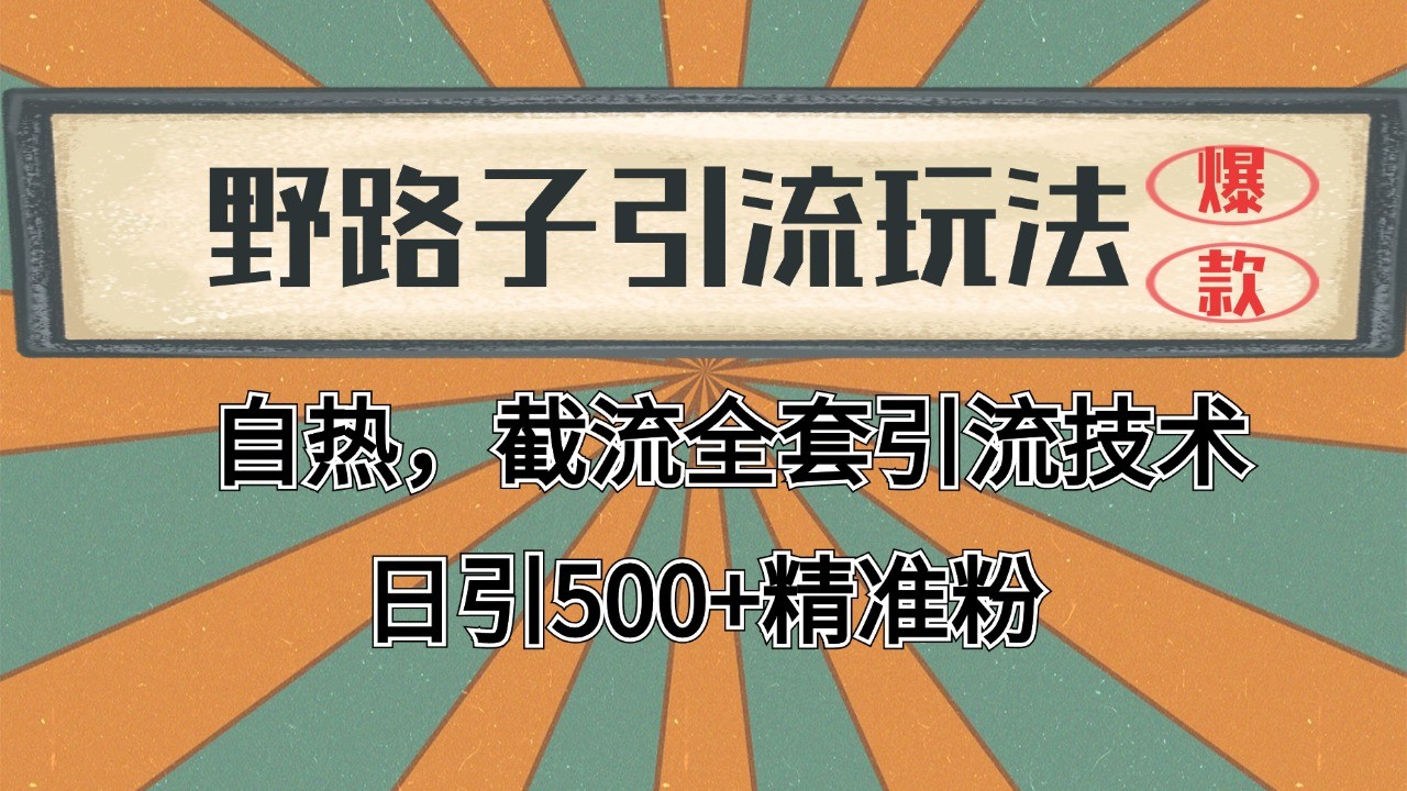 2024首发野路子引流玩法截流自热全平台打法，全自动引流【日引2000+精准客户】_豪客资源创业网-豪客资源_豪客资源库
