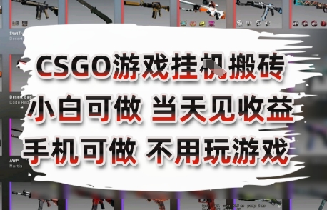 CSGO游戏挂G搬砖，小白纯手机即可操作，不用电脑打游戏，日入3张+，副业网创项目【揭秘】——豪客资源创业项目网-豪客资源_豪客资源库