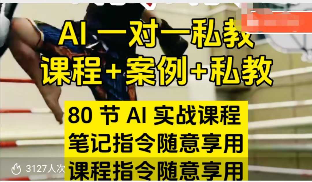 AI指令实战课，课程+案例，80节AI实战课程，笔记指令随意享用，课程指令随意享用（更新7月）——豪客资源创业项目网-豪客资源_豪客资源库