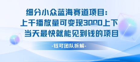 小众蓝海赛道项目：当天变现1k+适合新手操作 +适合长期玩——豪客资源创业项目网-豪客资源_豪客资源库