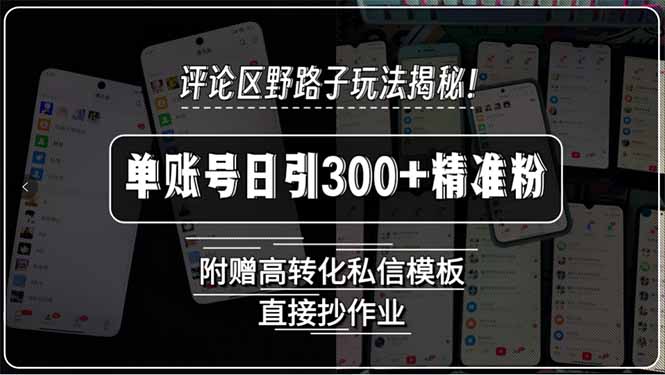 （15466期）评论区野路子玩法揭秘！单账号日引300+精准粉，附赠高转化私信模板，直…_豪客资源创业项目网-豪客资源_豪客资源库