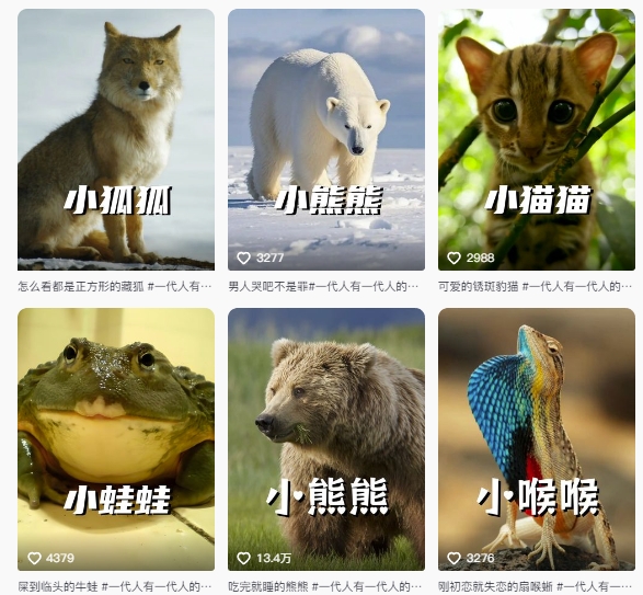 最新搞笑动物百科详细解说课程,蓝海赛道,流量非常大,轻松签独家进精选——豪客资源创业项目网-豪客资源_豪客资源库