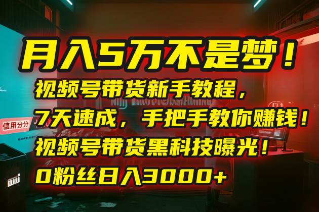 （15595期）月入5万不是梦！视频号带货新手教程，7天速成，手把手教你赚钱！视频号…_豪客资源创业项目网-豪客资源_豪客资源库