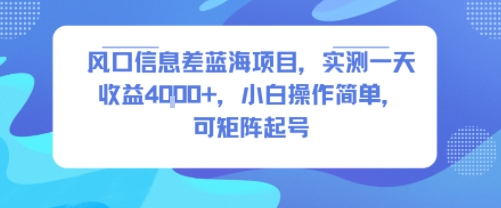 风口信息差蓝海项目,实测一天收益4k+,小白操作简单,可矩阵起号——豪客资源创业项目网-豪客资源_豪客资源库