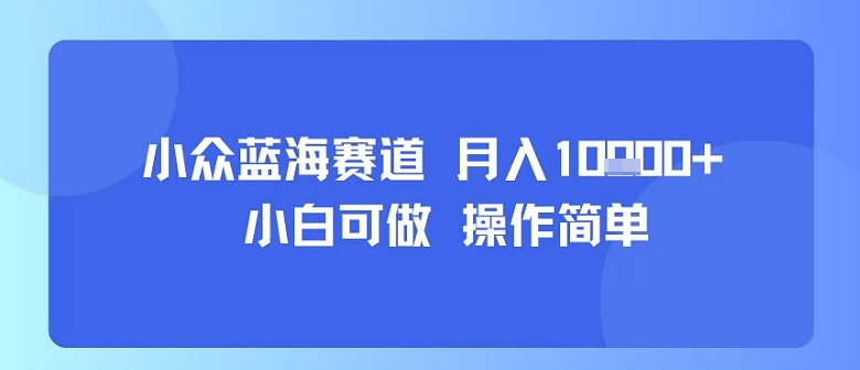 小众蓝海赛道，小白可做，操作简单，每天30分钟，月入1W+——豪客资源创业项目网-豪客资源_豪客资源库