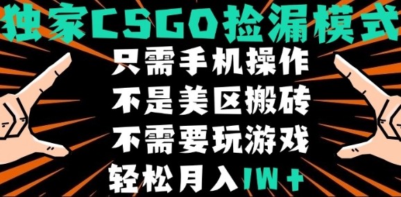CSGO自动捡漏项目,最新独家玩法,不是美区搬砖,不需要了解和玩游戏,新手小白轻松月入1W+【揭秘】——豪客资源创业项目网-豪客资源_豪客资源库
