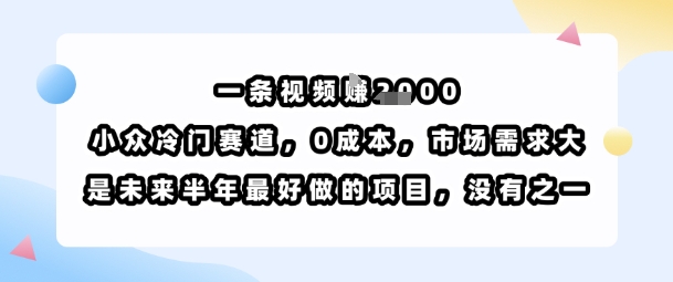 一条视频挣1k,小众冷门赛道,0成本,市场需求大,是未来半年最好做的项目,没有之一——豪客资源创业项目网-豪客资源_豪客资源库