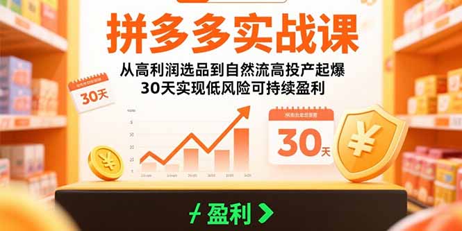 （15586期）拼多多实战课：从高利润选品到自然流高投产起爆 30天实现低风险可持续盈利_豪客资源创业项目网-豪客资源_豪客资源库