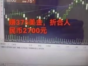 图片[3]-（15632期）稳定8年的美刀搬砖项目，单人每日收益800—3000.团队4人月入10W+.可线下_豪客资源创业项目网-豪客资源