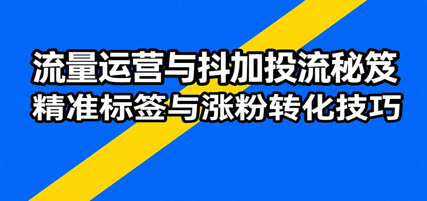 流量运营与抖加投流秘笈,含算法解析、爆款打造、精准标签与涨粉转化技巧_豪客资源创业网-豪客资源_豪客资源库