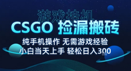 8月最新游戏搬砖，CSGO纯挂G，不需要玩游戏，实现真挂G，月入1W+【揭秘】——豪客资源创业项目网-豪客资源_豪客资源库