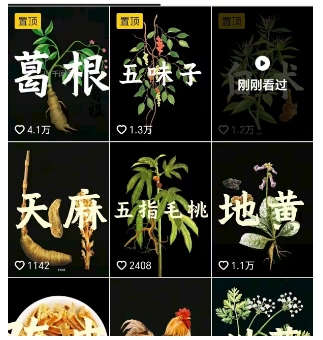 抖音中草药赛道，用AI做中草药故事视频，45条作品涨粉13W，橱窗带货猛猛出单——豪客资源创业项目网-豪客资源_豪客资源库