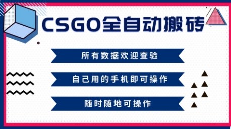 CSGO全自动搬砖，年底钱回家好项目，当天可拿到结果，新手小白轻松月入1W+【揭秘】——豪客资源创业项目网-豪客资源_豪客资源库