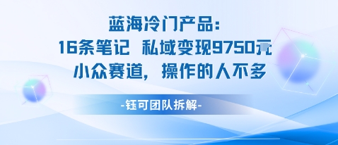 蓝海项目:16条笔记私域变现9750米小众赛道操作的人不多——豪客资源创业项目网-豪客资源_豪客资源库