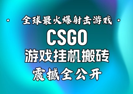 【年底大揭秘】基于全球最火爆的射击CSGO游戏挂G搬砖,日入5张+,震撼公开——豪客资源创业项目网-豪客资源_豪客资源库