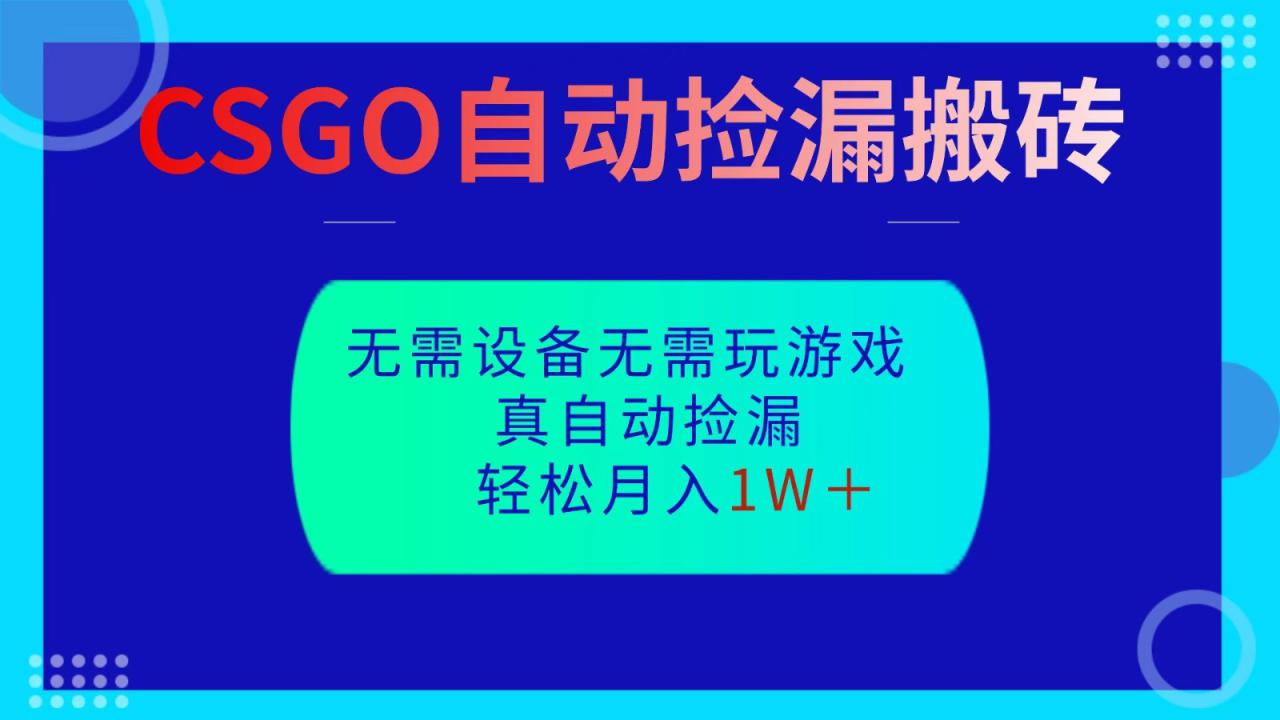CSGO自动捡漏搬砖，当天操作当天见结果，无需了解游戏，包教包会包落地_豪客资源创业网-豪客资源_豪客资源库