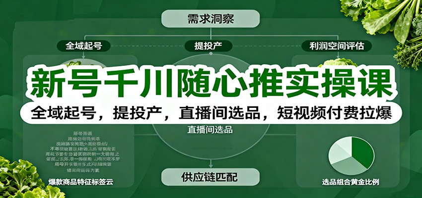新号千川随心推实操课：全域起号，提投产，直播间选品，短视频付费拉爆_豪客资源创业网-豪客资源_豪客资源库