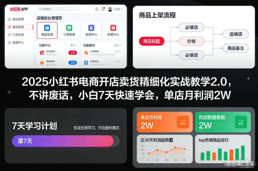 2025小红书电商开店卖货精细化实战教学2.0,不讲废话,小白7天快速学会,单店月利润2W——豪客资源创业项目网-豪客资源_豪客资源库