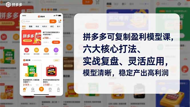 （16952期）拼多多可复制盈利模型课，六大核心打法、实战复盘、灵活应用，模型清晰，稳定产出高利润_豪客资源创业项目网-豪客资源_豪客资源库