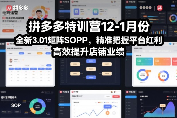 拼多多特训营12-1月份,全新3.01矩阵Sop,精准把握平台红利,高效提升店铺业绩——豪客资源创业项目网-豪客资源_豪客资源库