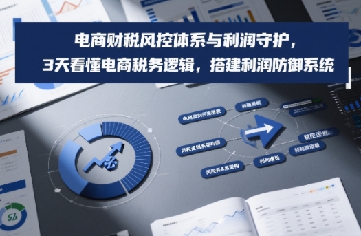 电商财税风控体系与利润守护，3天看懂电商税务逻辑，搭建利润防御系统——豪客资源创业项目网-豪客资源_豪客资源库