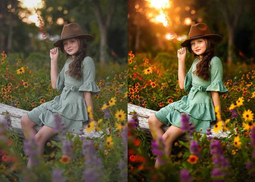 （17403期）大师级GTG出品-老友记系列AI自适应预设The Friends Preset Collection_豪客资源创业项目网-豪客资源_豪客资源库