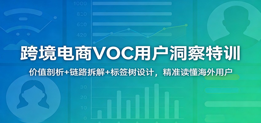 跨境电商VOC用户洞察特训：价值剖析+链路拆解+标签树设计，精准读懂海外用户_豪客资源创业网-豪客资源_豪客资源库